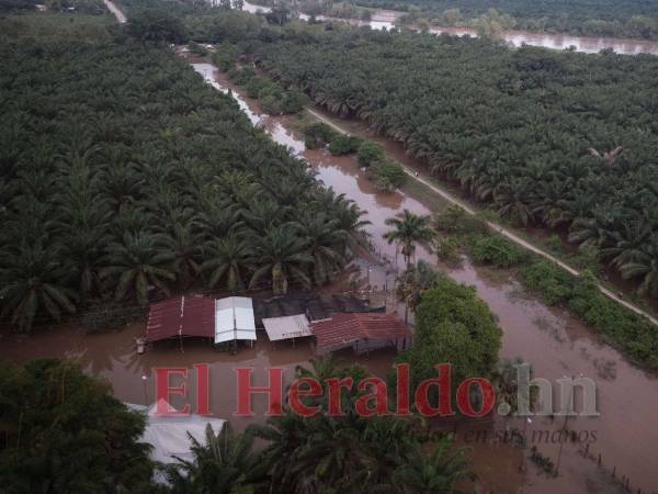 Hay cientos de casas sumergidas en Choloma tras las lluvias, que impactaron de tal manera que varias aldeas quedaron incomunicadas y desde hace días no llegan los alimentos a sus habitantes.