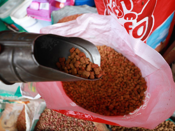 El saco de comida para mascotas está por alcanzar los mil lempiras en los distintos comercios.