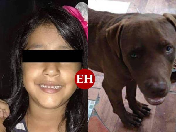 El cuerpo de Allison tenía rasguños, los cuales no fueron provocados por el pitbull, concluyeron los investigadores. Además, encontraron lesiones en la parte íntima, que estudian para determinar si fue abusada.