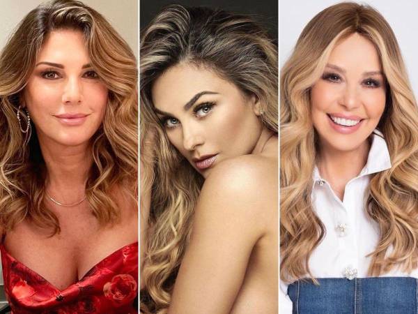 Más allá de Aracely Arámbula, con quien tuvo dos hijos y una mediática batalla legal, Luis Miguel ha tenido una lista de romances que incluye a algunas de las mujeres más bellas y célebres de la industria del entretenimiento.