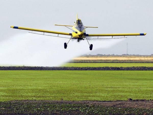 Esta es una avioneta fumigadora con la que, según la agente de la DEA, también transportaban droga en Honduras.