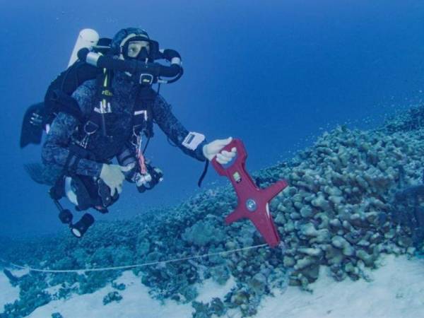 El explorador de origen español se maravilló al ver el gran coral, de 34 metros de ancho, 32 metros de largo y 5,5 de alto, en una inmersión en aguas del Pacífico.