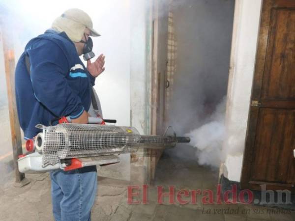 Las personas deben abrir las puertas de sus casas para que sean fumigadas, es solo una medida para controlar la epidemia de dengue.