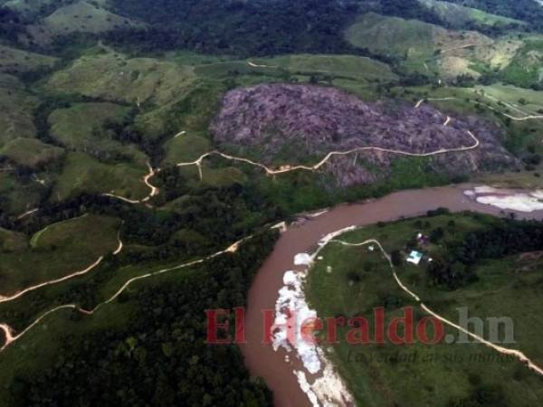 El descombro en el sector conocido como “La Llorona” es uno de los más evidentes, pues está ubicado a los costados de la carretera ilegal, mostrando una gran cantidad de árboles quemados. Foto: Johny Magallanes/El Heraldo