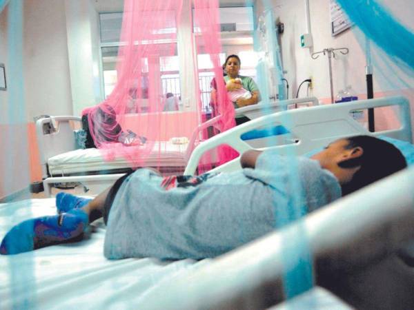 Los niños son los que más sufren por dengue. En la actualidad hay más de 5,300 casos que superan hasta tres veces a los del 2023.