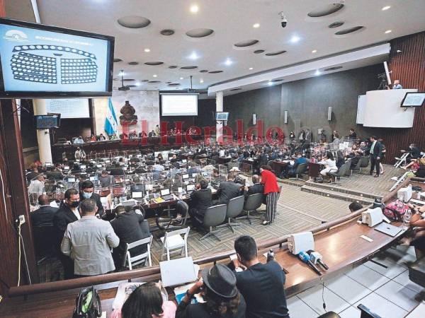 En el Congreso Nacional hay una parte de diputados que están a favor de revisar el espíritu del decreto de amnistía. Por parte de Libre, la mayoría está conforme.