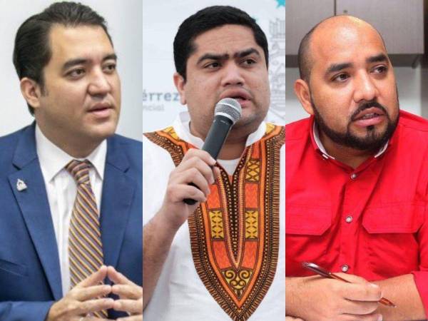 La discusión fue emprendida Héctor Zelaya, José Carlos Cardona y Daniel Sponda.