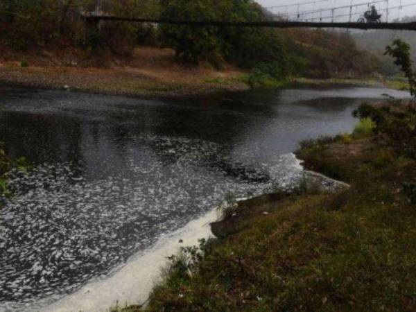 El proyecto de cinco años busca preservar el caudal del río.