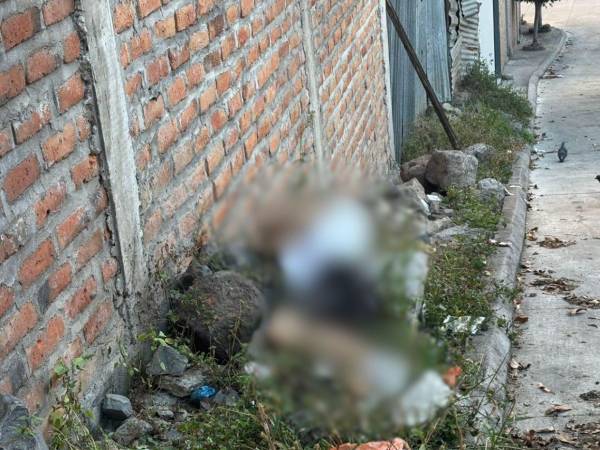 El cuerpo del joven fue encontrado en una calle de la colonia El Edén, cerca de unos bloques. En la escena se encontraron varios casquillos de bala.