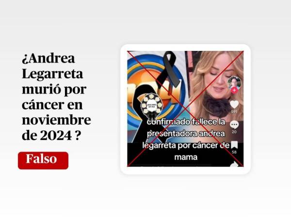 Captura de pantalla a una publicación de TikTok el 23 de noviembre de 2024.