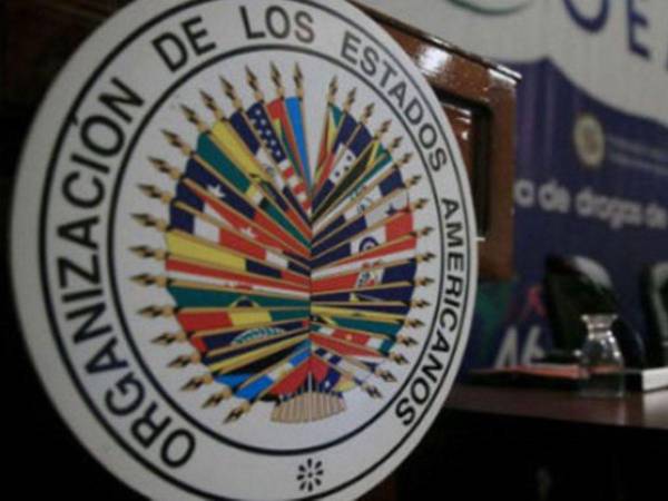 En la votación, estuvieron presentes 31 de los 33 estados miembros. Ecuador votó en contra y El Salvador se abstuvo.