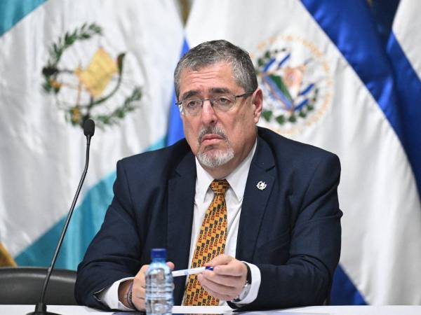 La comunidad internacional, representada por la Unión Europea, la Organización de Estados Americanos (OEA) y algunos gobiernos latinoamericanos, emitió un comunicado conjunto este viernes instando al Congreso de Guatemala a juramentar al presidente electo, Bernardo Arévalo, cuya ceremonia de investidura experimentó un significativo retraso.