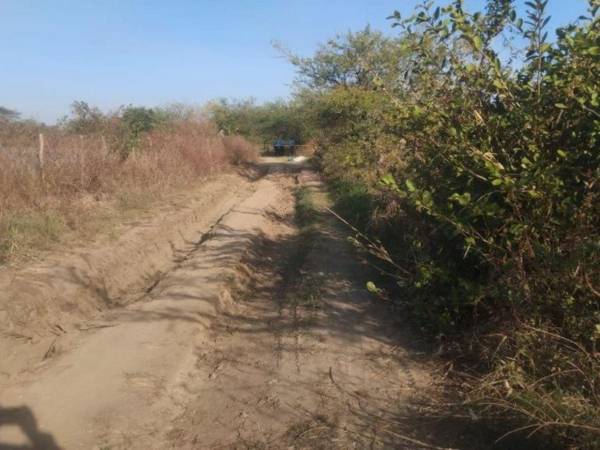 El cadáver fue hallado a la orilla de la polvorienta calle.