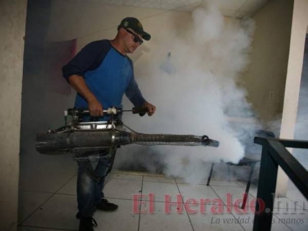 Las acciones de fumigación deben realizarse constantemente en la mañana y en la noche en barrios y colonias.