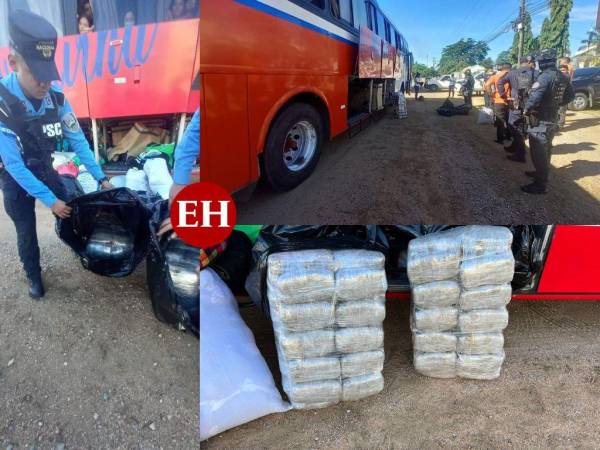 Varios paquetes de supuesta marihuana eran transportadas en el autobús que cubre la ruta de El Progreso-Tela.