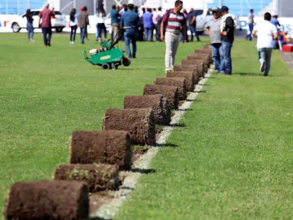 Desde la semana pasada, iniciaron los trabajos de remoción del engramillado viejo del Estadio Nacional “Chelato Uclés”. El contrato fue fijado en un costo de 32.4 millones de lempiras