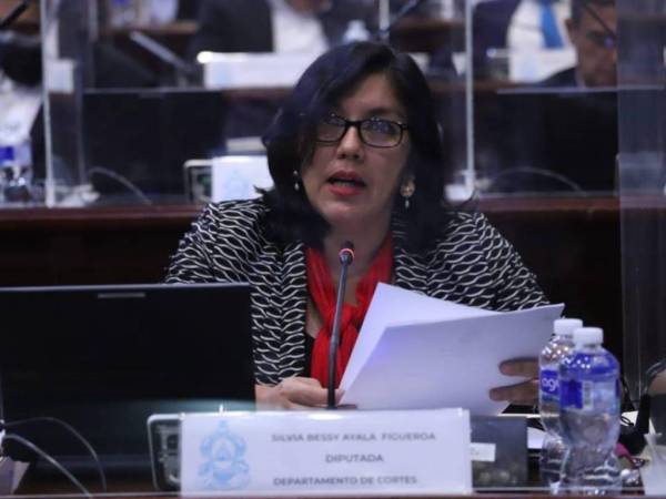 Silvia Ayala forma parte de la comisión de diputados del Congreso Nacional que investigan el avance del tema de la extradición en los diferentes operadores de justicia del Estado.