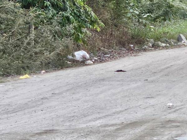 El cadáver estaba a la orilla de la calle principal.