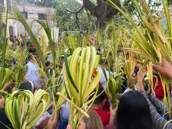 Los ramos de los feligreses fueron bendecidos en el centro de la capital.