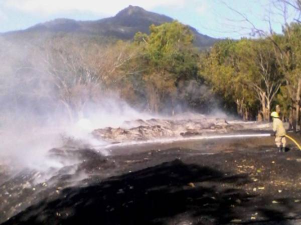 En la zona de El Zamorano se controló un incendio que amenazaba con propagarse al bosque de la reserva de Uyuca.