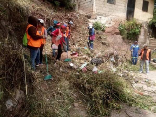 Durante la semana se realizarán fumigaciones, destrucción de criaderos y supervisión de pilas en cuatro sectores de la Villa Nueva.