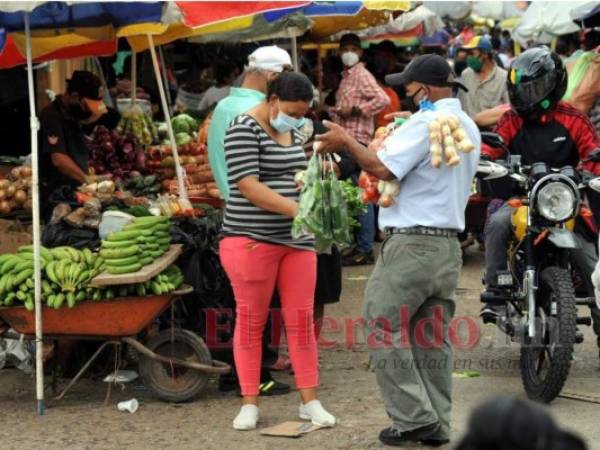 Varios sectores productivos de Honduras han comenzado con la reanudación de sus actividades.