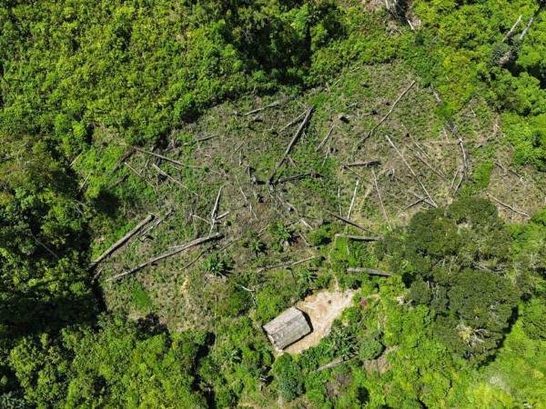 Las Fuerzas Armadas son las encargadas de llevar a cabo los desalojos en las áreas protegidas.