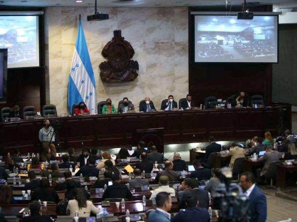 31 diputados conforman comisión especial nombrada por el CN.