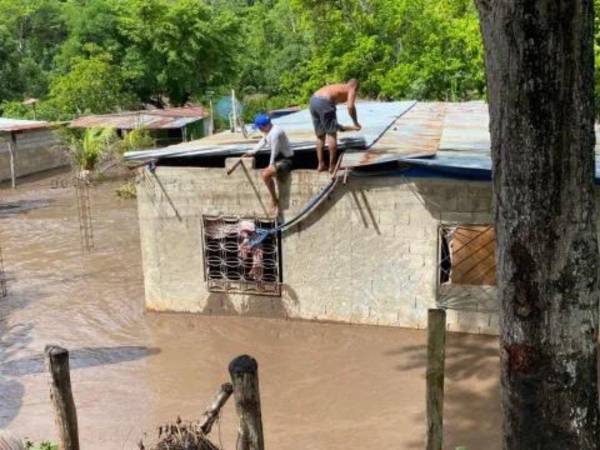 Las grandes tormentas provocadas por el huracán Beryl han dejado destrucción generalizada a su paso por el sureste de la región.