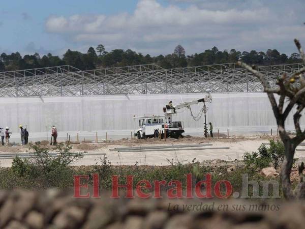 Según Redondo, las acciones a seguir luego de haber eliminado las ZEDE serán decisiones que tendrá que tomar el Poder Ejecutivo.