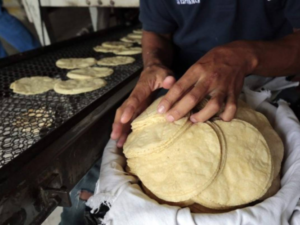 Las tortillas valen tres unidades por dos lempiras en cualquier establecimiento y no verán aumento, según lo prometido por el gobierno.