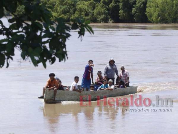 Siguen tapados por el agua, en muchos sectores de El Progreso y en Cortés las crecidas de los ríos Ulúa y Chamelecón mantienen las inundaciones.