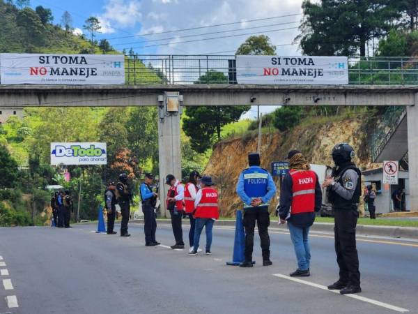 Los elementos de las diferentes instituciones se desplazarán a varios puntos; los controles serán más estrictos para los conductores.