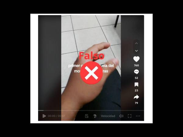 Captura de pantalla a una publicación en TikTok realizada el 26 de agosto de 2024.