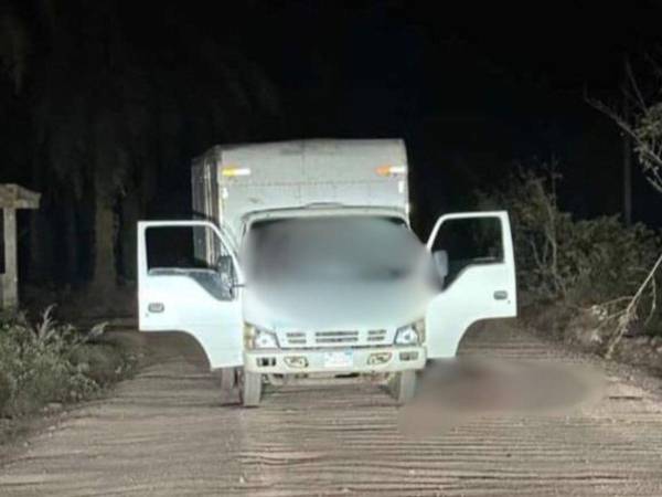 Las tres víctimas se conducían a bordo de este camión repartidor de productos.