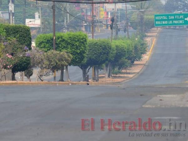 Las medidas y los equipos de protección dependerán del nivel de riesgo de contagio que tenga cada empresa.