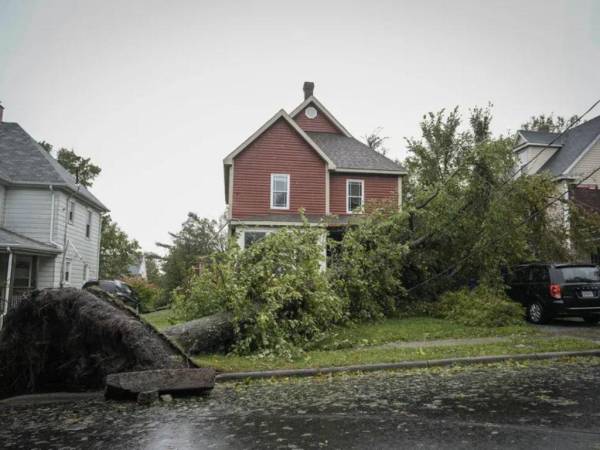 Un árbol se apoya contra las líneas eléctricas y una casa después de que la tormenta postropical Fiona azotara en Sydney, Nueva Escocia, en la isla Cape Breton en Canadá.