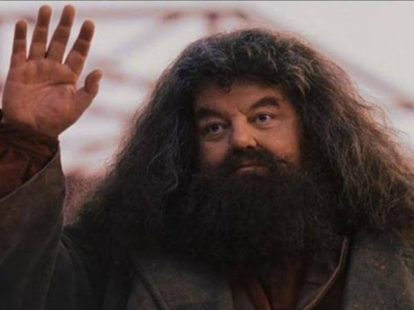 La industria cinematográfica esta de luto, pues este viernes murió el actor británico Robbie Coltrane, quien fue conocido por su increíble papel del gigante afable en las películas de Harry Potter, Hagrid. Muchos actores e internautas han lamentado su partida a los 72 años de edad. En esta galería te contamos más detalles sobre su vida a lo largo de estos años y la enfermedad de la que padecía.