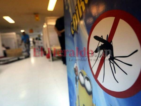 Las lluvias empeorarán la situación del dengue en el oriente del país. Salud y pobladores se unen para eliminar criaderos de zancudos.