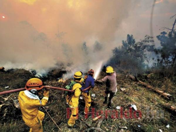 Las llamas han acabado con miles de árboles en diferentes puntos del país, ocasionando un grave impacto a los recursos. Fotos: EL HERALDO.