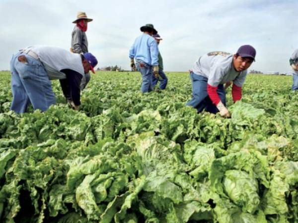 Casi un millón de hondureños residen en Estados Unidos.