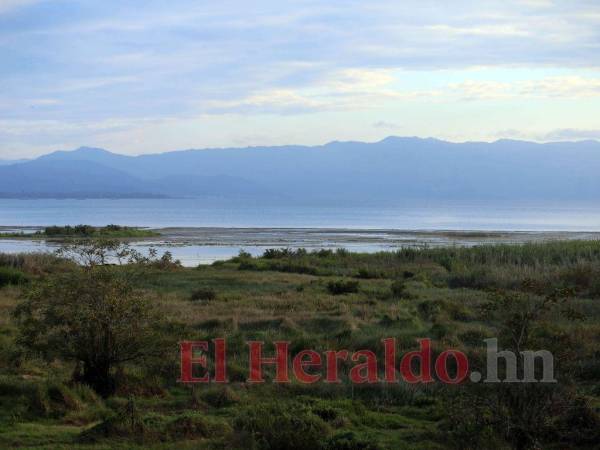 El lago de Yojoa es la reserva de agua dulce más grande de Honduras y se encuentra desprotegida.