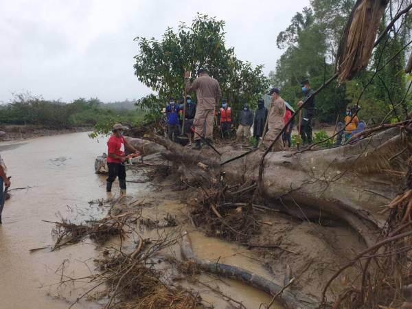 El cuerpo fue encontrado en un remanso de escombros, en medio de la gruesas raíces de un árbol.