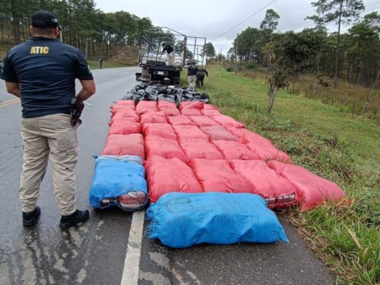 La droga iba en varios sacos acomodados en la parte de atrás del camión.