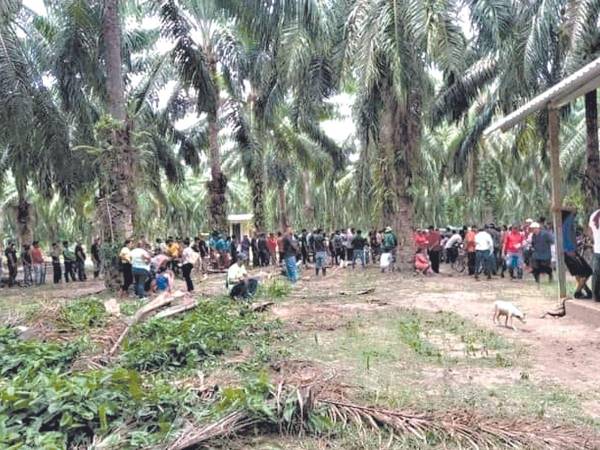 En el Bajo Aguán se arrastra una crisis agraria desde la década de 1990, y aún no hay señales de que será solucionada.