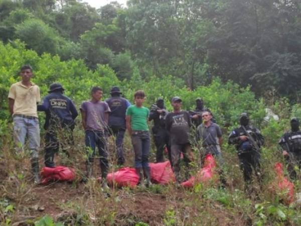 Seis personas dejó parte del resultado de este operativo conocido como 'Dominio ll'. Foto: Cortesía