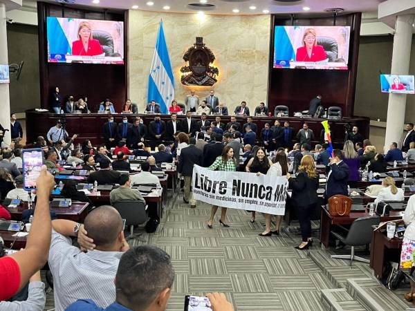 Como la cámara legislativa se volvió un recinto de todo tipo de arengas y broncas entre los diputados oficialistas y opositores, la junta directiva contrató 15 sujetos para protegerse de posibles agresiones.