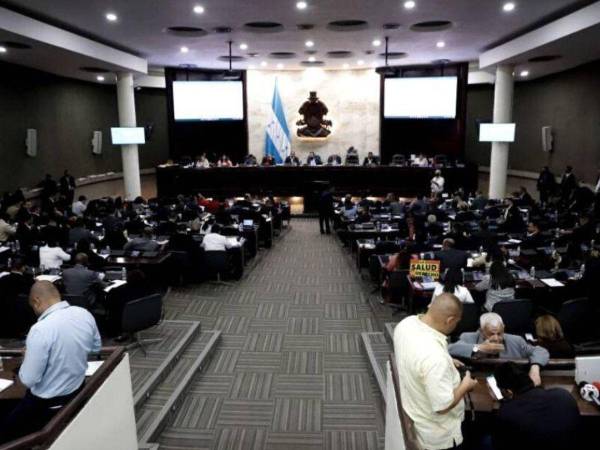 Ambos temas serán discutidos en el Palacio Legislativo.