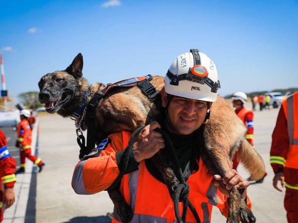 El presidente de El Salvador, Nayib Bukele envió a un equipo de al menos 100 especialistas en búsqueda y rescate de personas para apoyar en las labores auxilio a las víctimas por los terremotos en Turquía y Siria. Además la comitiva estará integrada por perros entrenados para la búsqueda de personas bajos los escombros. A continuación las imágenes.