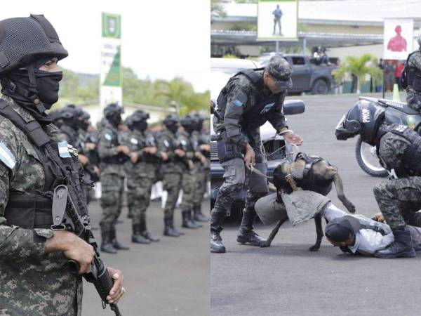 En el marco de la conmemoración del 11 aniversario de la Policía Militar del Orden Público (PMOP), la institución policial rindió un homenaje especial a todos los miembros de esta unidad élite, reconociendo su compromiso con la seguridad del pueblo hondureño. Durante la ceremonia, se destacó el papel de la PMOP en la realidad del país y los retos que enfrenta.